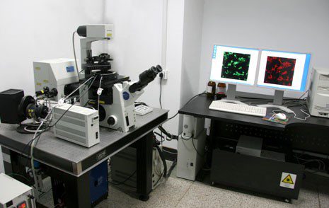 激光扫描共聚焦显微镜.jpg